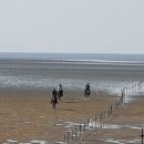 탐앤탐스왕산점