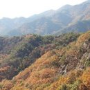 11월3일 목요걷기- 관악산 무너미고개-안양예술공원 이미지