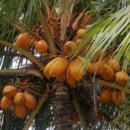 광리농장 이미지