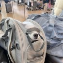 덕수니네 | [여행] 루프트한자 애견동반 탑승기, 또 타고 싶은 비즈니스 클라스~