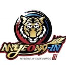 용인대명인태권도 이미지