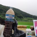 놀골농장 이미지