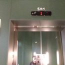 수원시 영통구 광교중앙로 이미지