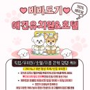 비바도기 이미지