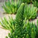 이은희 농장 이미지