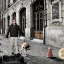 못된 강아지 이미지