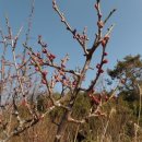 한주동안 이미지