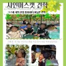 코코농원 이미지