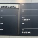 행신초등학교 | 행신 &#39;디온브로우&#39; 속눈썹펌 후기 (비포애프터 사진 있음!!)