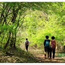 느림보강물길 이미지