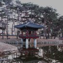 월송정 이미지