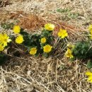 윤석농장 이미지