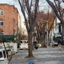 판교매일식당 정자직영점 | 분당 정자 KT먹자골목 돈가스맛집 판교매일식당 정자직영점