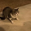 From. Marbang 프롬말방 | [경주 독채펜션]프롬말방 솔직후기 감성숙소