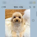 멍로하 이미지