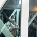 여행0.5일+1일차 _전날밤도착+1일차일정공유_(김해->춘추항공/트립픽업/풀럭스브런치/디즈니랜드/양꼬치)