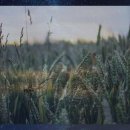 지헬스케어 이미지