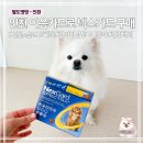 센트럴원약국 | 강아지 심장사상충 예방약 넥스가드 | 인천 이음카드 20% 혜택 구매 후기