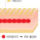 오닉스스킨테라피 이미지