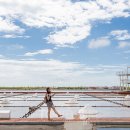 (주)다이본코리아 이미지