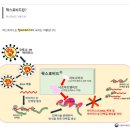 두암타운온누리약국 이미지