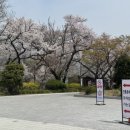 회기로 30 | 프로참석러의 하객 후기 1탄(세종대왕 기념관 웨딩홀 전통혼례)