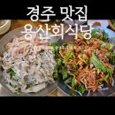 경주 용산회식당 내돈내산 후기 웨이팅/포장/주차/초장 꿀팁 대방출