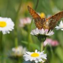 행복누리공원 이미지