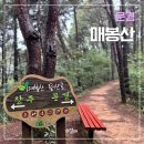 매봉산_숲길(등산)1코스 | 경북 문경 매봉산 초보자 등산코스로 추천