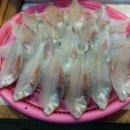 남진상회