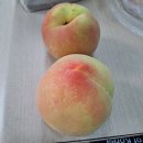 손해평가사 일을 사랑하게 되었다. 이미지