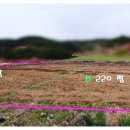 일로농협주유소 이미지