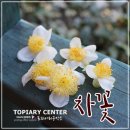 바람흔적펜션 이미지