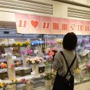 스노우폭스플라워 - 서대문구 연세로 19 | 스노우폭스플라워