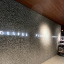 원더풀3 | 요정귀를 원했는데 강남역 원더풀성형외과 귀필러 일주일 차 솔직 후기