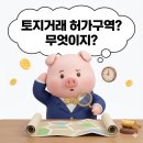 별밤옥션 부동산경매 | 토지거래허가구역 경매 대출 가능할까? 지지옥션 확인법부터 주의사항까지 총정리