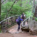 상학초교 이미지