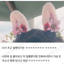 알바할 때 어떤 할머님이 나보고 토끼소녀라 부르심,, 이미지