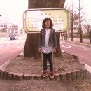 태장초교 이미지