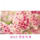 2015 년 봄꽃 개화시기 이미지