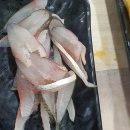 황금밀면(용호점) 이미지
