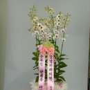 향기치과의원 이미지