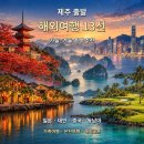 제주 직항 해외여행 어디로 갈까? 오사카부터 홍콩·다낭·방콕까지 상품별 요금 비교[제주출발해외여행] 이미지