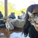 지에스(GS)25 효성동원점 | 2026 공주여행 둘째날 (4/18~4/20)