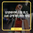 지에스25 뉴삼성스타점 | 상생페이백 신청 후기, 소비 금액 확인하는 방법