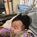 킹덤키즈-D 이미지