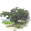 우금 이미지