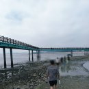 초가집부두막청국장 | 서울근교 당일치기, 궁평항 산책 후 전주초가집 한식 한 끼