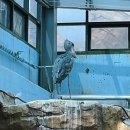 다복튜브