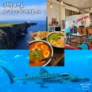 물속풍경수족관 | 오키나와 3박4일 여행코스 3탄 잔파곶 캡틴캥거루 타코라이스 추라우미수족관 단보라멘 아시비나아울렛